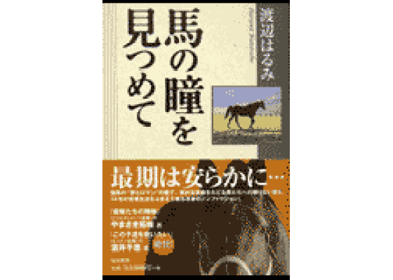 馬の瞳を見つめて